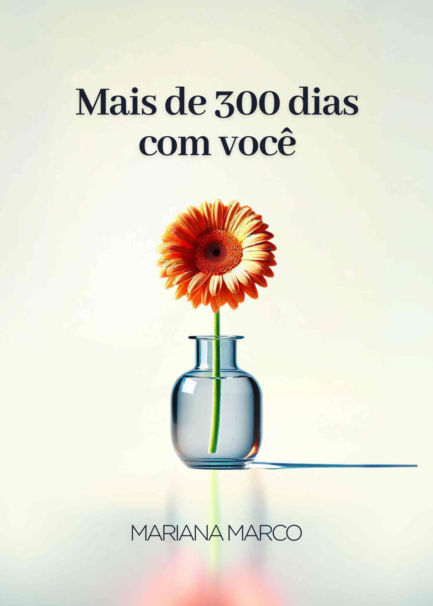 Livro 4